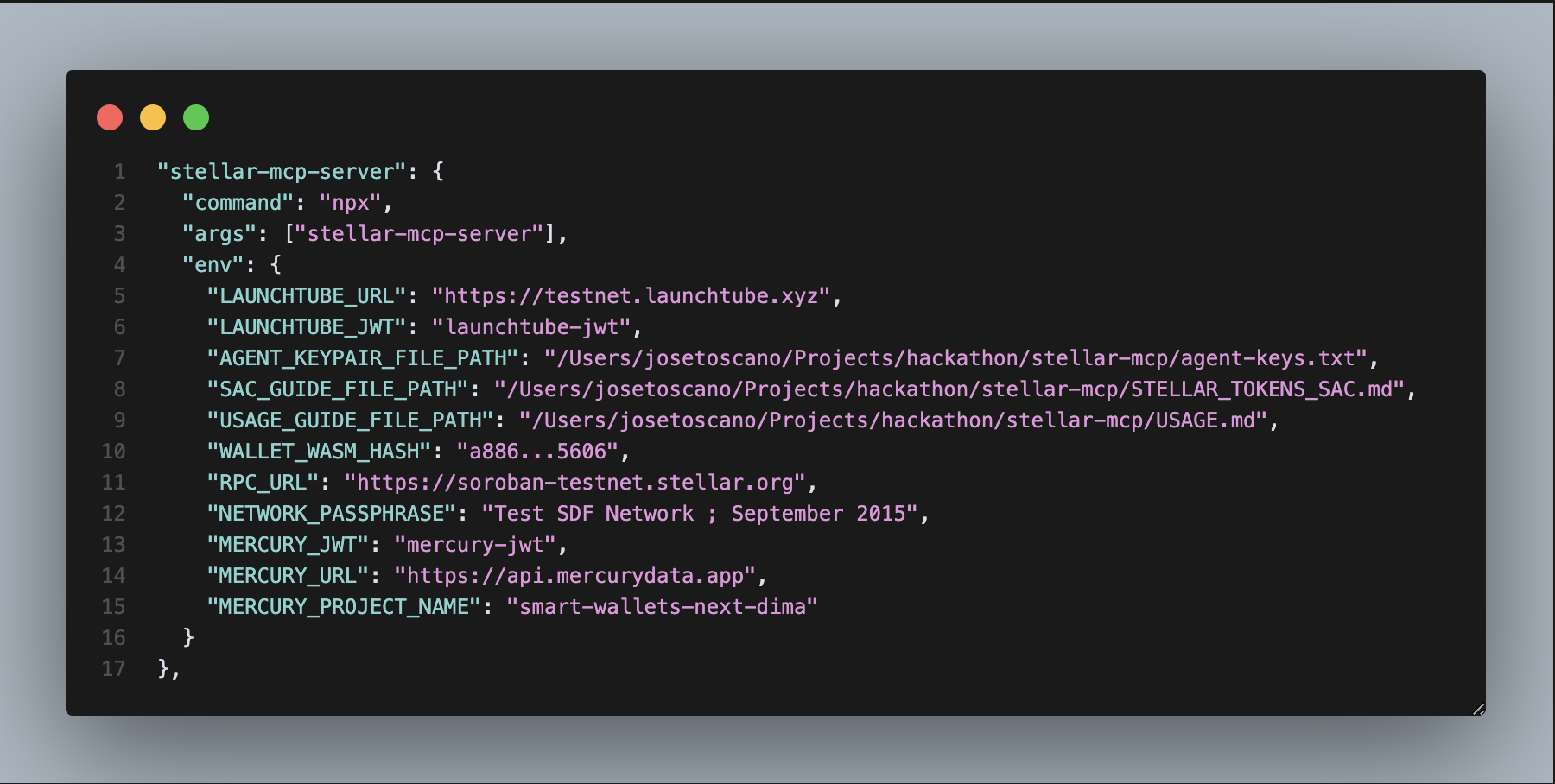 install from npm config